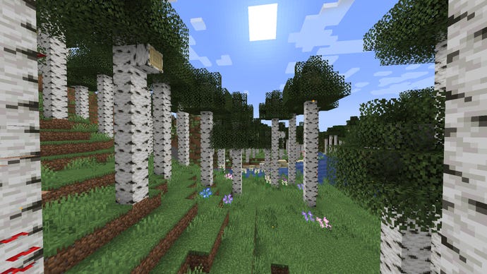 A Minecraft biome of tall birch trees added with the Wilder Wild mod.