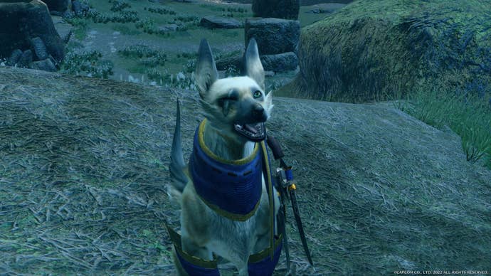 A happy one-eyed Palamute in Monster Hunter Rise.