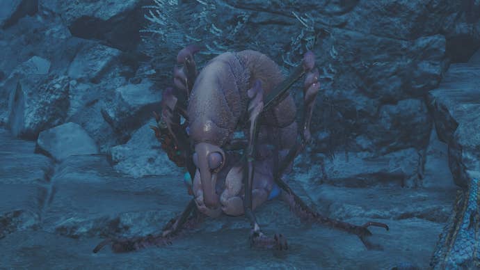 monster hunter wilds comaqchi