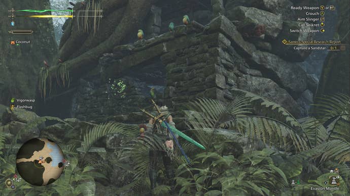 The hunter in Monster Hunter Wilds looks at some Dapperwings perched atop the edges of some ruins in the Scarlet Forest.
