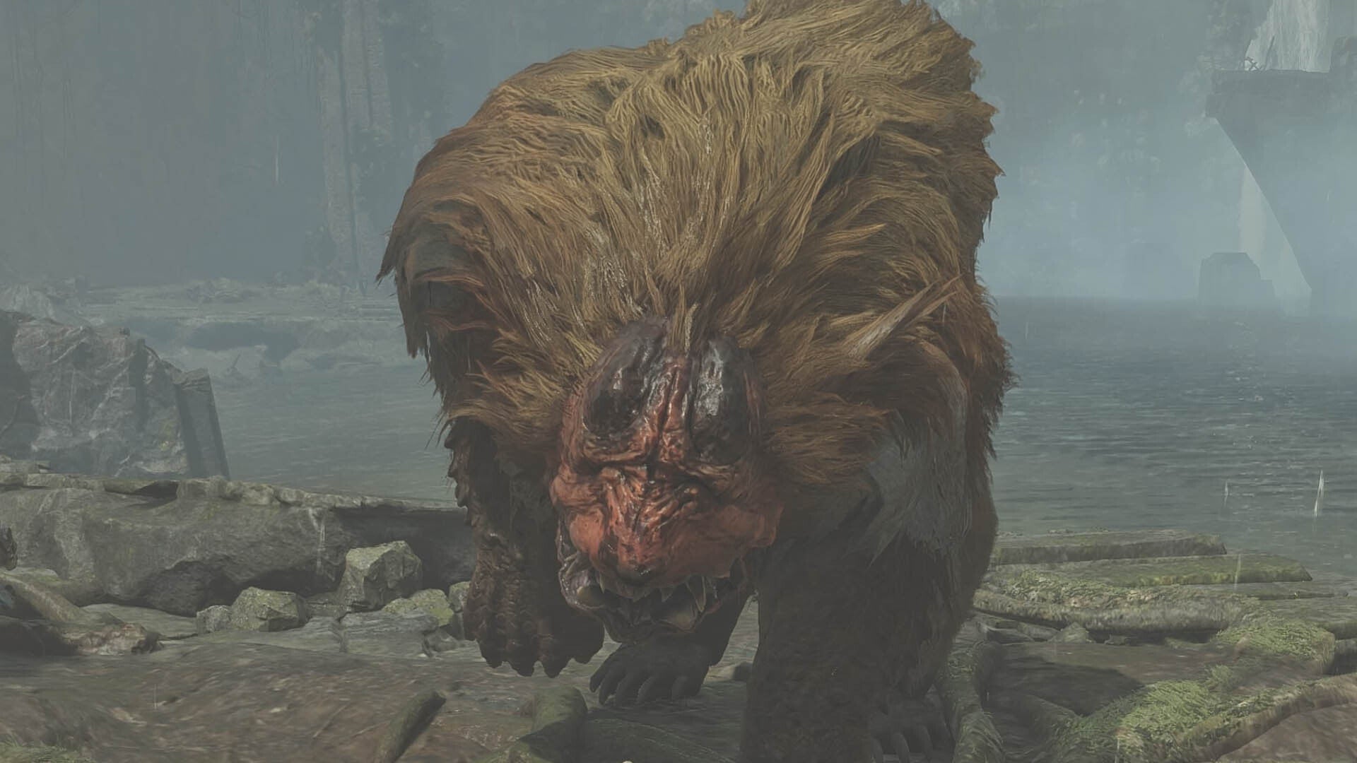 monster hunter wilds doshaguma