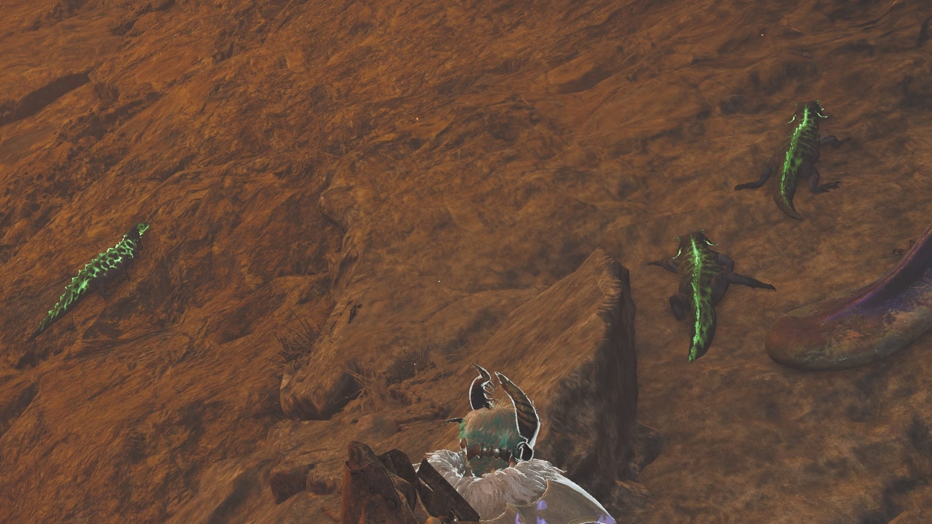 How to get Ember Rufflizard in Monster Hunter Wilds