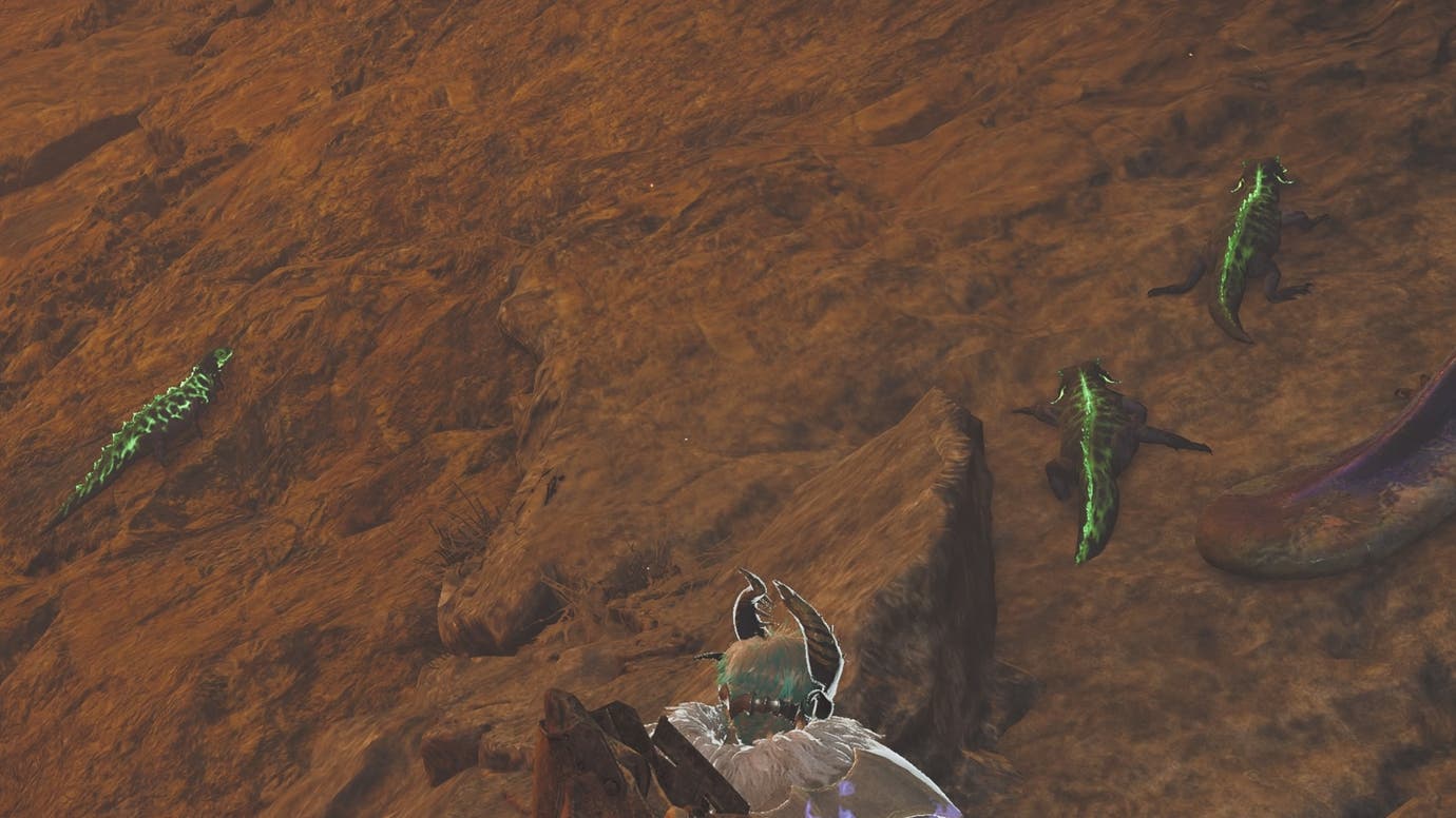 How to get Ember Rufflizard in Monster Hunter Wilds | Eurogamer.net