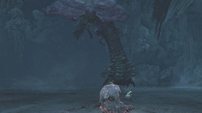 monster hunter wilds floating hirabami facing hunter