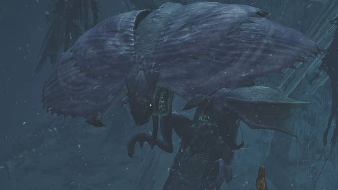 monster hunter wilds hirabami close up