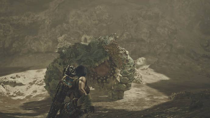 monster hunter wilds hunter facing chatacabra