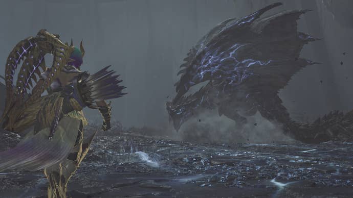 monster hunter wilds hunter facing guardian rathalos