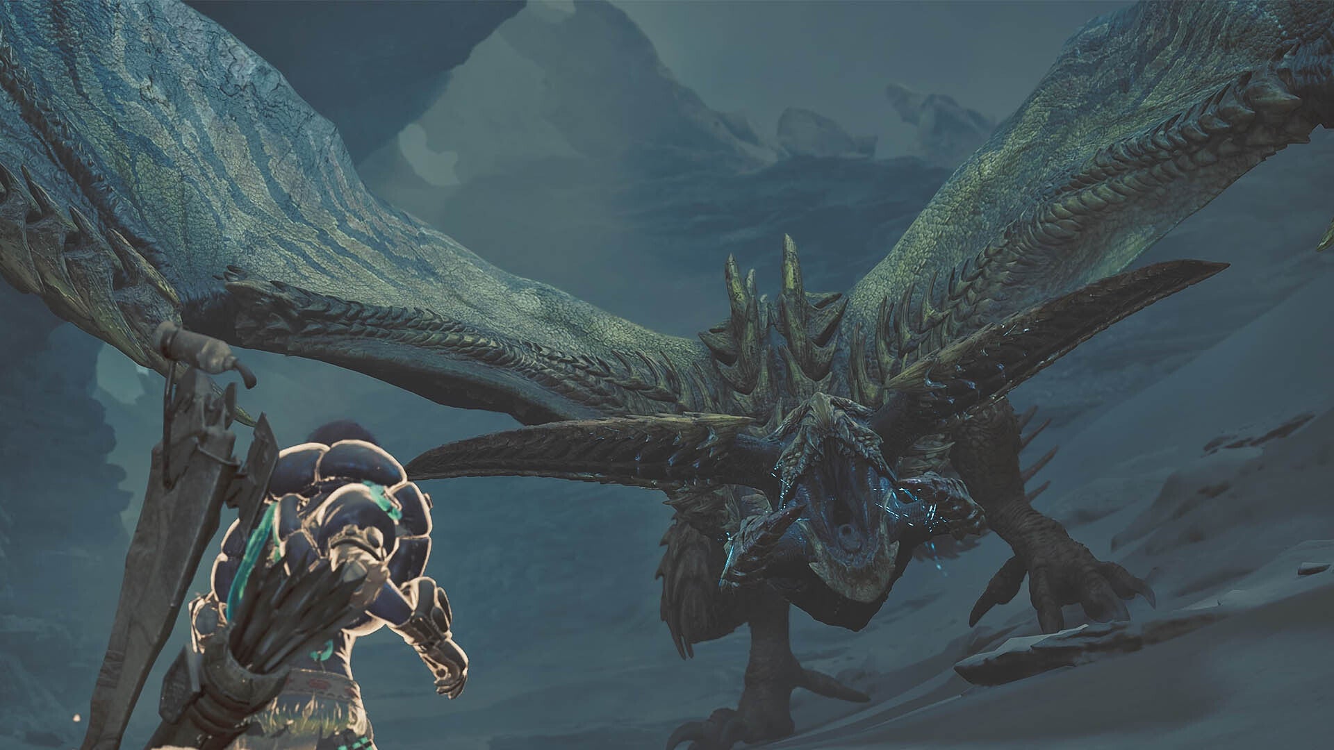 monster hunter wilds hunter facing rey dau