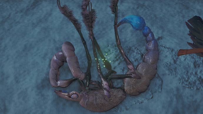 monster hunter wilds slain comaqchi