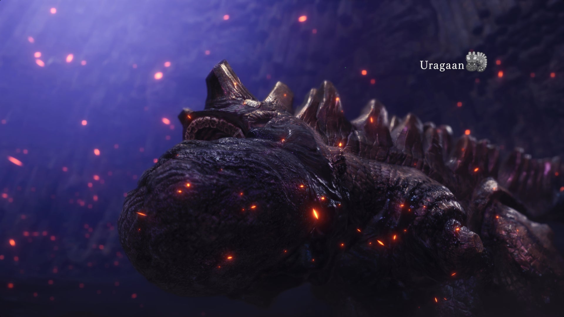 Monster Hunter World Urugaan - 3