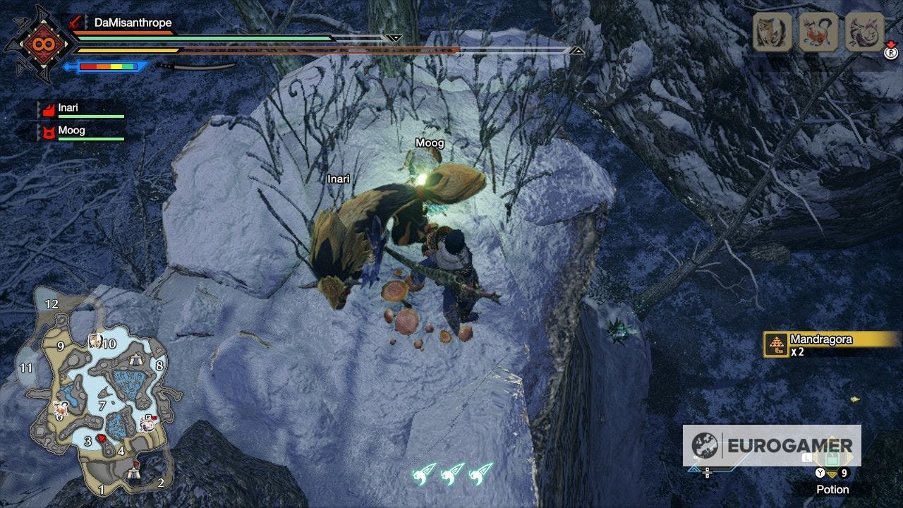 Mh Rise Wirebug Where to find Great Wirebugs and Jewel lilies locations in Monster ...