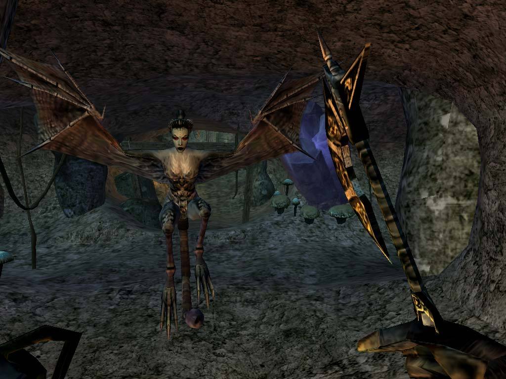 Morrowind: Game of the Year Edition screenshot