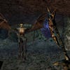 Screenshot de Morrowind: Game of the Year Edition