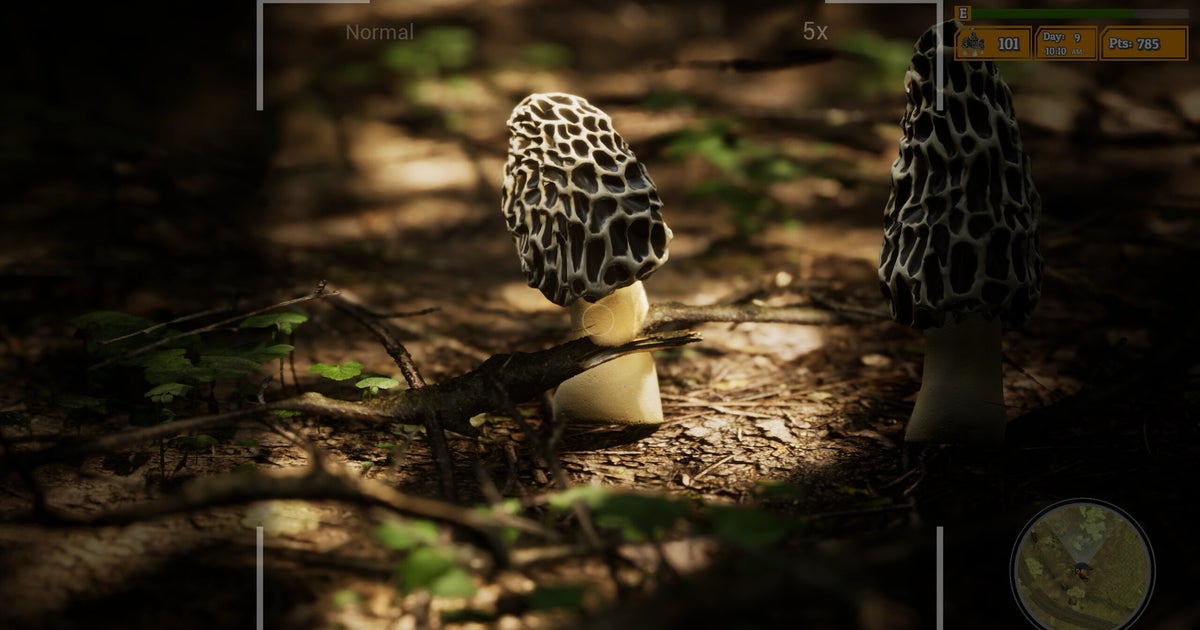 Morels 2 sure has a lot of unicorns, for a mushroom collection game