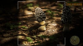 A videogame mushroom seen through an in-game camera lens