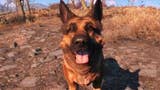Morreu River, a cadela que inspirou Dogmeat em Fallout 4