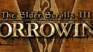 Morrowind Overhaul 3.0 is now available, is rather lovely 