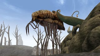 Bethesda's Todd Howard isn't keen to remaster Morrowind