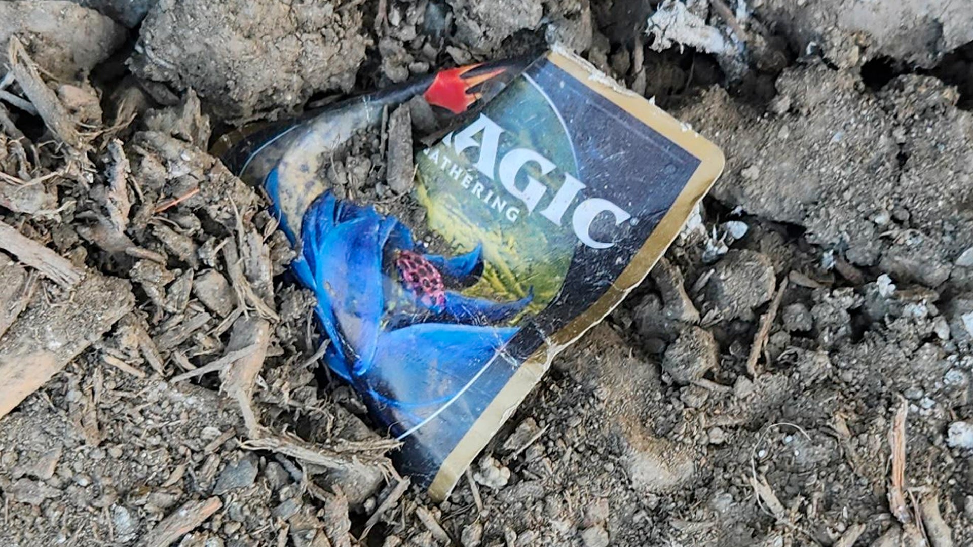 Thousands of dollars worth of pristine Magic: The Gathering boosters were discovered in a garbage dump, then destroyed | Dicebreaker Thousands of dollars worth of pristine Magic: The Gathering boosters were discovered in a garbage dump, then destroyed | Dicebreaker