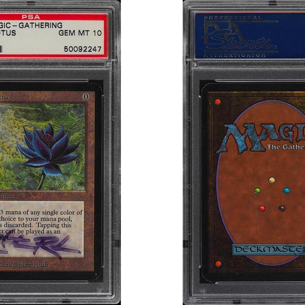 christopher rush mtg cards Brainstorm - Magic the Gathering Art by