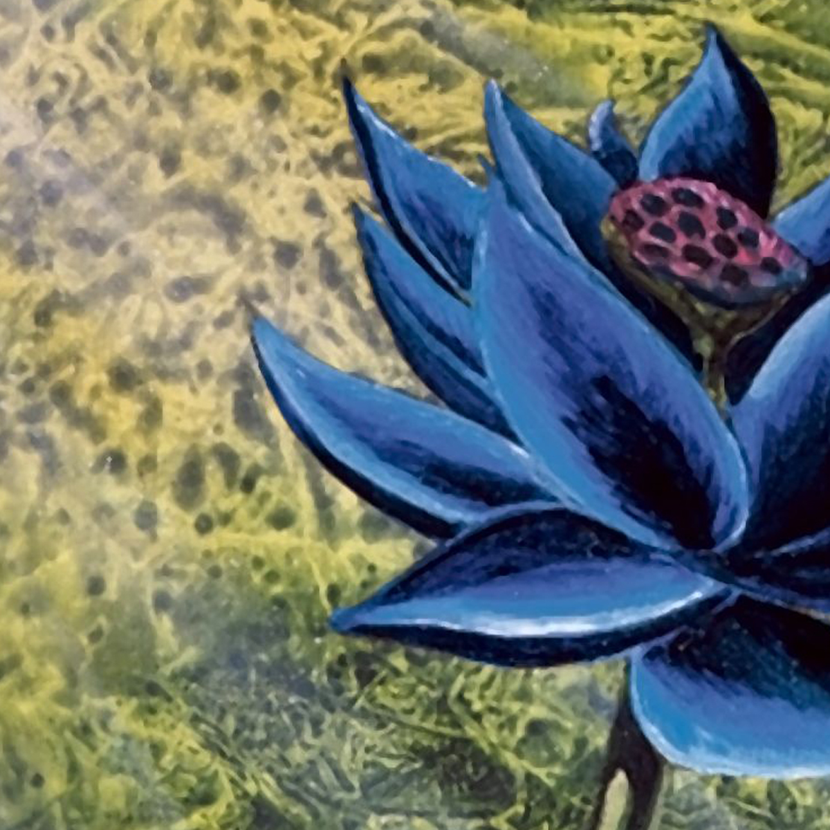 $3m Black Lotus overtakes 1/1 One Ring to claim Magic: The Gathering's most expensive card record | Dicebreaker $3m Black Lotus overtakes 1/1 One Ring to claim Magic: The Gathering's most expensive card record | Dicebreaker