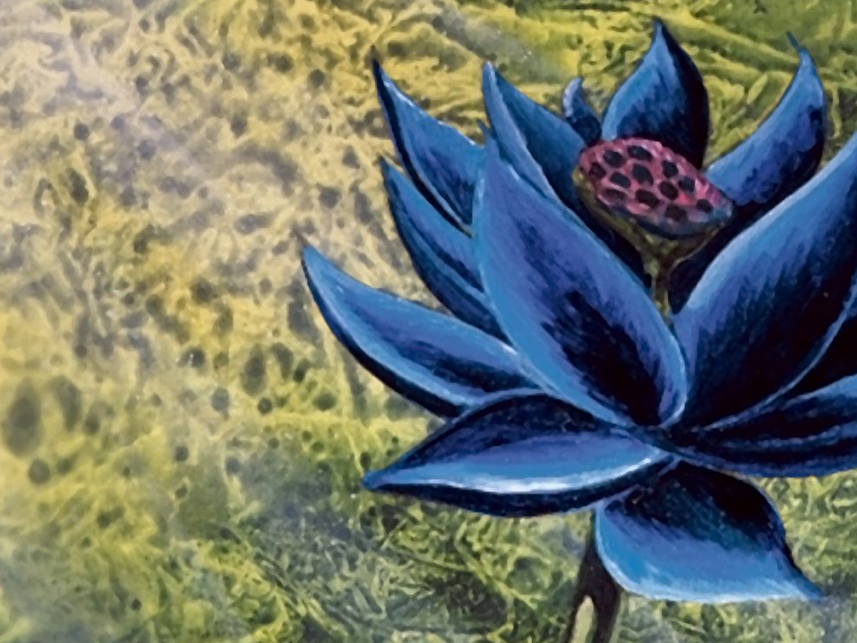 how much is a black lotus mtg card worth Black Lotus Graded CGC Pristine 10 Sells for $3 Million, Breaking Record!