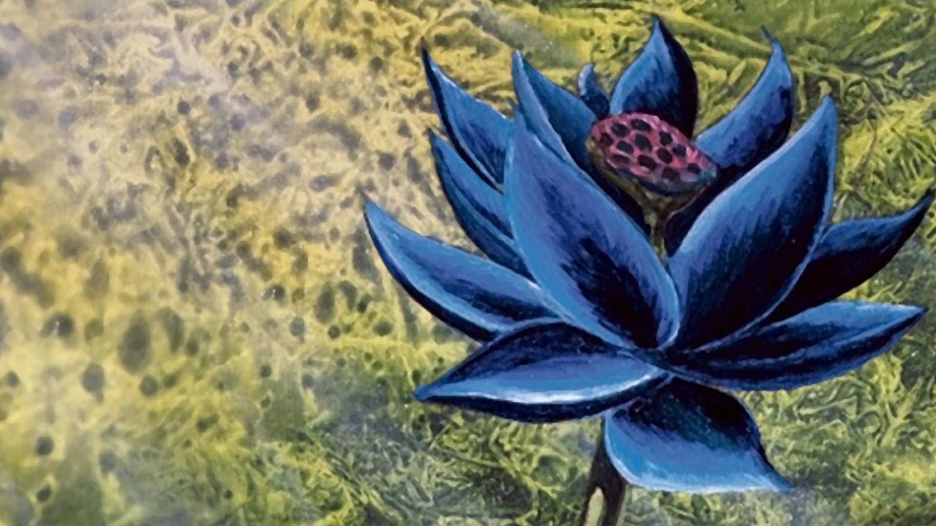$3m Black Lotus overtakes 1/1 One Ring to claim Magic: The Gathering's most expensive card record | Dicebreaker $3m Black Lotus overtakes 1/1 One Ring to claim Magic: The Gathering's most expensive card record | Dicebreaker