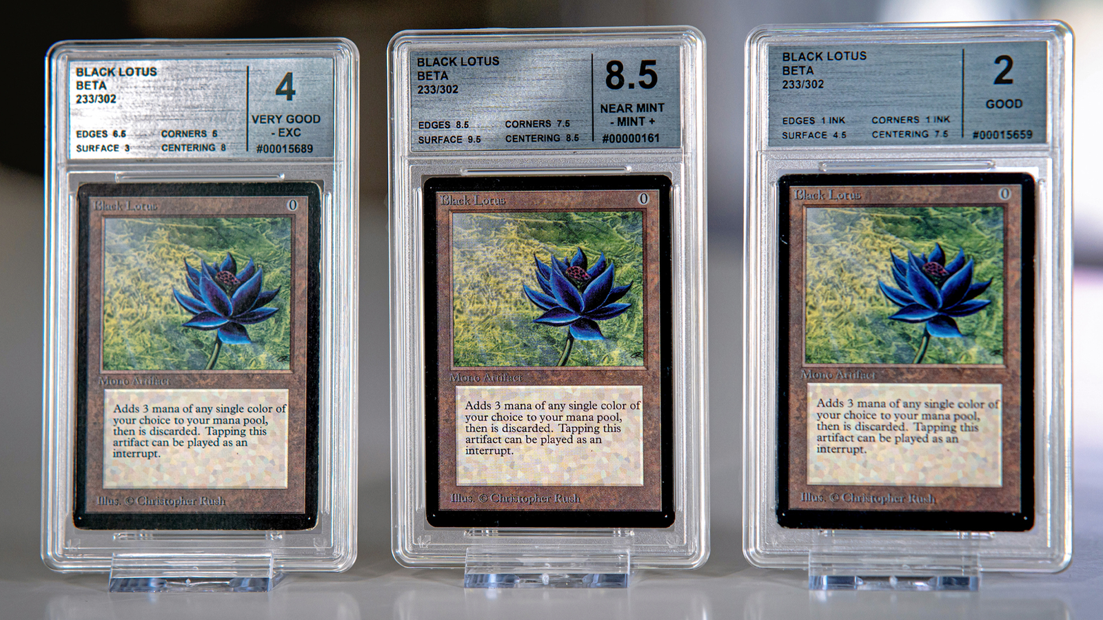 mtg beta card list Limited Edition 2E | 302 cards (English) Are these "Beta" Cards real