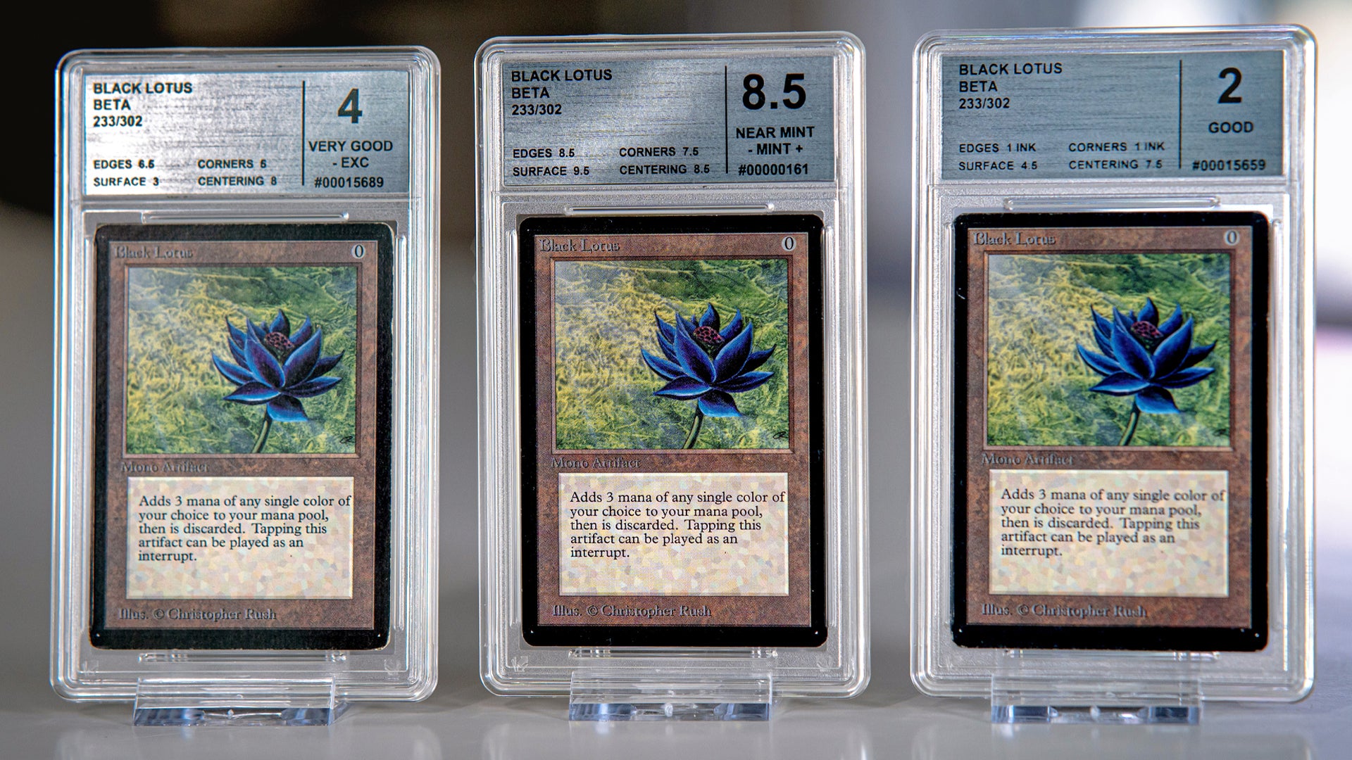 Once in a lifetime' Magic: The Gathering collection valued at 1m includes three complete sets of Beta - with a trio of Black Lotus cards | Dicebreaker Once in a lifetime' Magic: The Gathering collection valued at 1m includes three complete sets of Beta - with a trio of Black Lotus cards | Dicebreaker