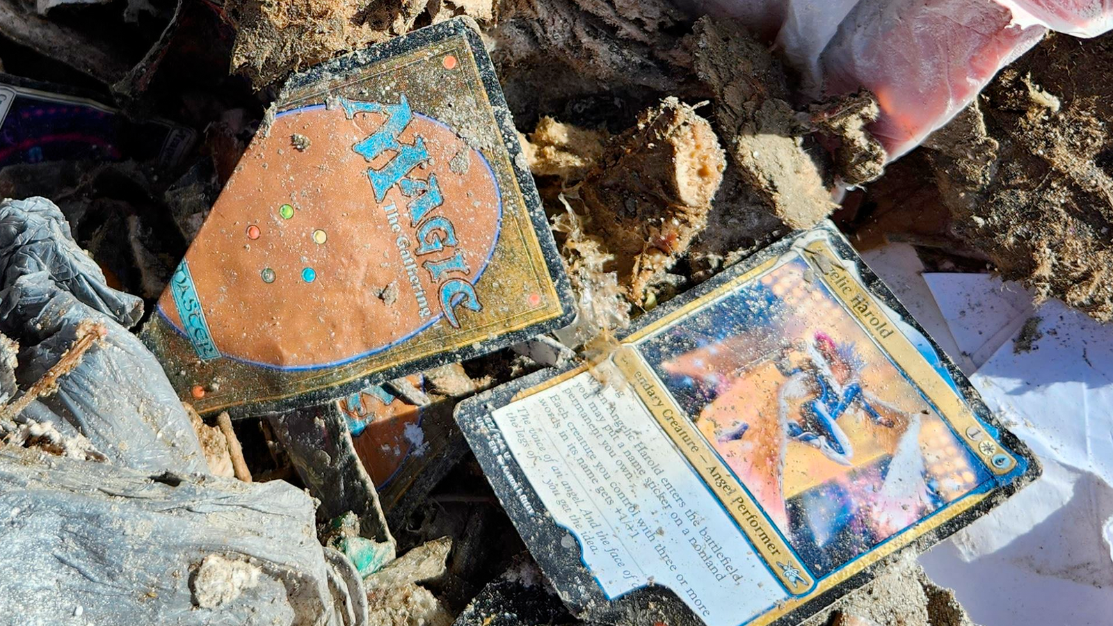 Thousands of dollars worth of pristine Magic: The Gathering boosters were discovered in a garbage dump, then destroyed | Dicebreaker Thousands of dollars worth of pristine Magic: The Gathering boosters were discovered in a garbage dump, then destroyed | Dicebreaker