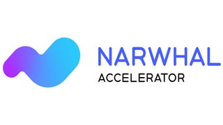 Dmitrii Filatov and Grigory Bortnik launch Narwhal Accelerator