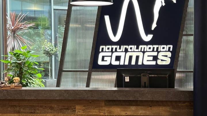 NaturalMotion Studio