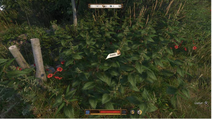 Nettles in Kingdom Come Deliverance 2