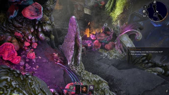 Some weird plants and mushrooms in New Arc Line.