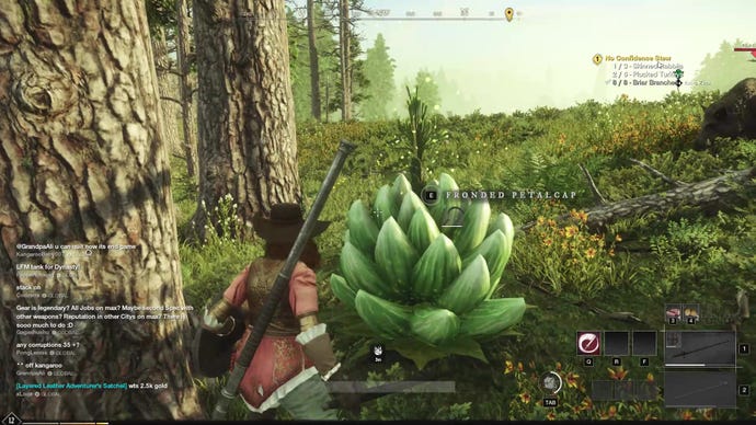 A New World character standing beside a fronded petalcap, with the interaction to collect petals on-screen.