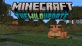 Minecraft : The Wild Update è il prossimo grande aggiornamento