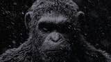 Planet of the Apes: Last Frontier porta l'universo cinematografico nel mondo dei videogiochi