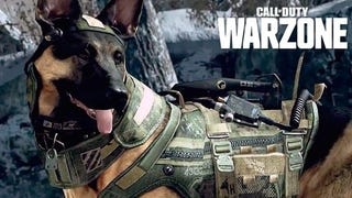 Call of Duty: Warzone protagonista di un bizzarro bug che trasforma le armi dei giocatori in un...cane