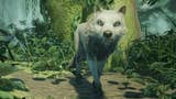 Lost Ember: il gioco di esplorazione e avventura che ci farà vestire i panni di un nobile lupo ha una data di uscita