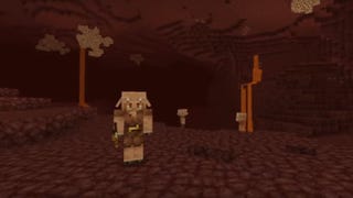 Minecraft sta per ricere nuovi biomi, blocchi e molto altro con il Nether update