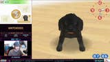 Nintendogs diventa virale con la speedrun 'rovinata' da un cucciolo di labrador disobbediente