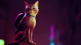 Stray, finalmente un video gameplay del gioco che ci trasforma in un gatto in un mondo sci-fi. Ed è...splendido