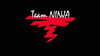 Team Ninja annuncerà nuovi titoli nel 2015