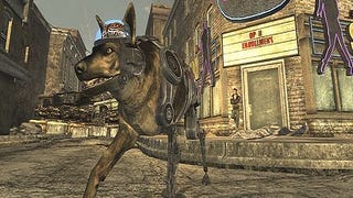 Meet the Companions of Fallout: New Vegas 