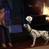 Screenshot de The Sims 3 Pets