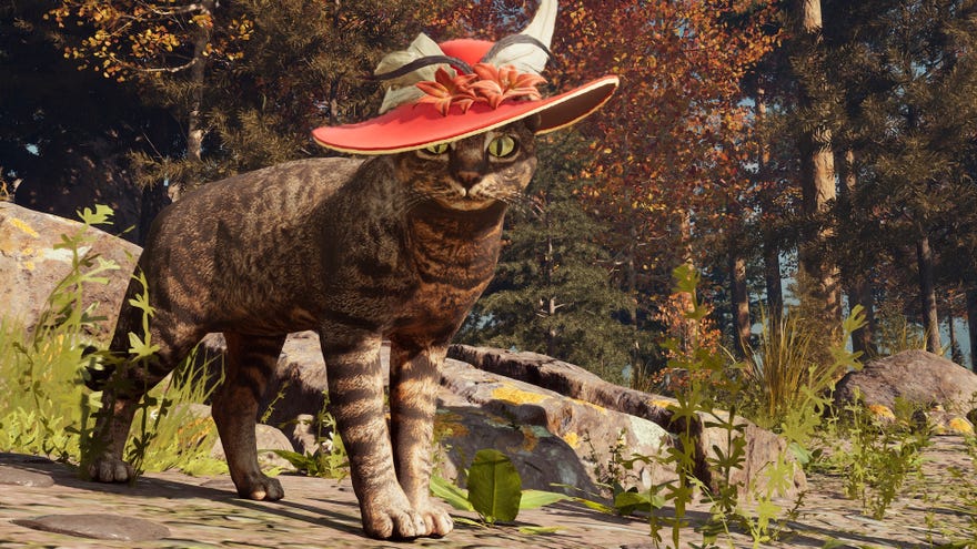 A cat in a hat which can be adopted in Nightingale’s Realms Rebuilt update.