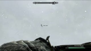 Nine years of playing Skyrim, and I had no idea you could shoot birds out of the sky