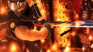 Ninja Gaiden 3 to fully support PlayStation Move