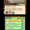 Capturas de pantalla de Harvest Moon: The Tale of Two Towns