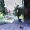 Sonic and the Black Knight screenshot